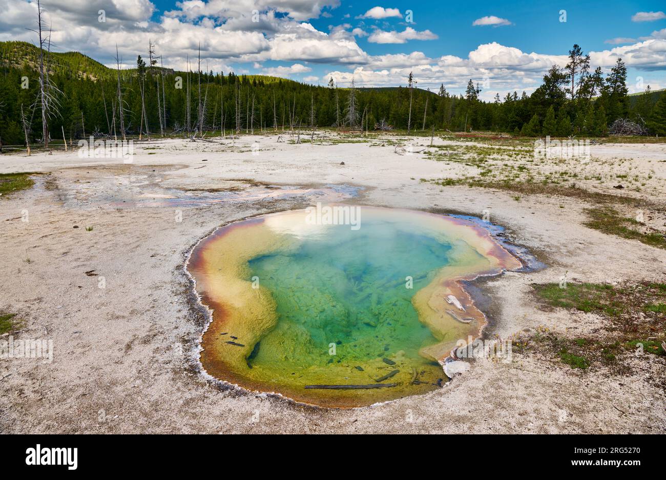 West Geyser, Biscuit Basin, Yellowstone National Park, Wyoming, Stati Uniti d'America Foto Stock
