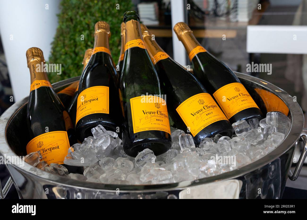 Bottiglie di champagne Veuve Clicquot pronte per essere bevute al Qatar Goodwood Festival Meeting 2023 all'ippodromo di Goodwood, Chichester Foto Stock