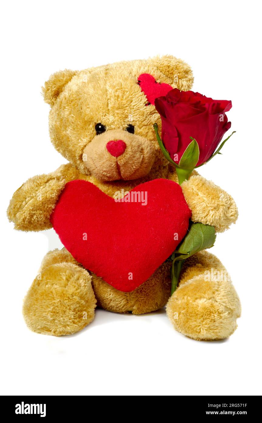 Un dolce orsacchiotto è seduto su uno sfondo bianco con un fiore di rosa rosso e un cuore rosso. Foto Stock