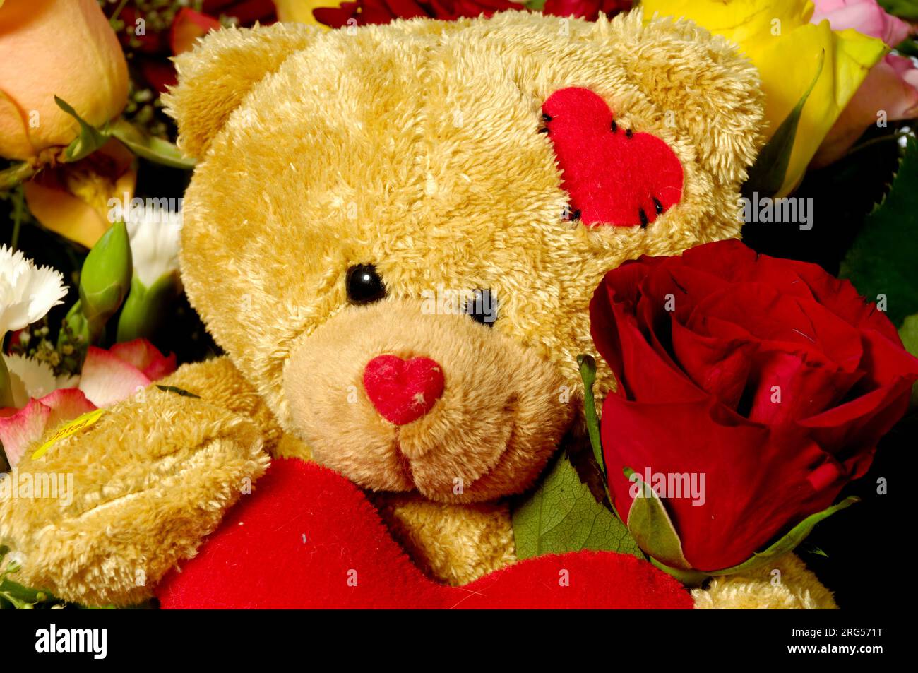 Un orsacchiotto è seduto con una rosa rossa. Foto Stock