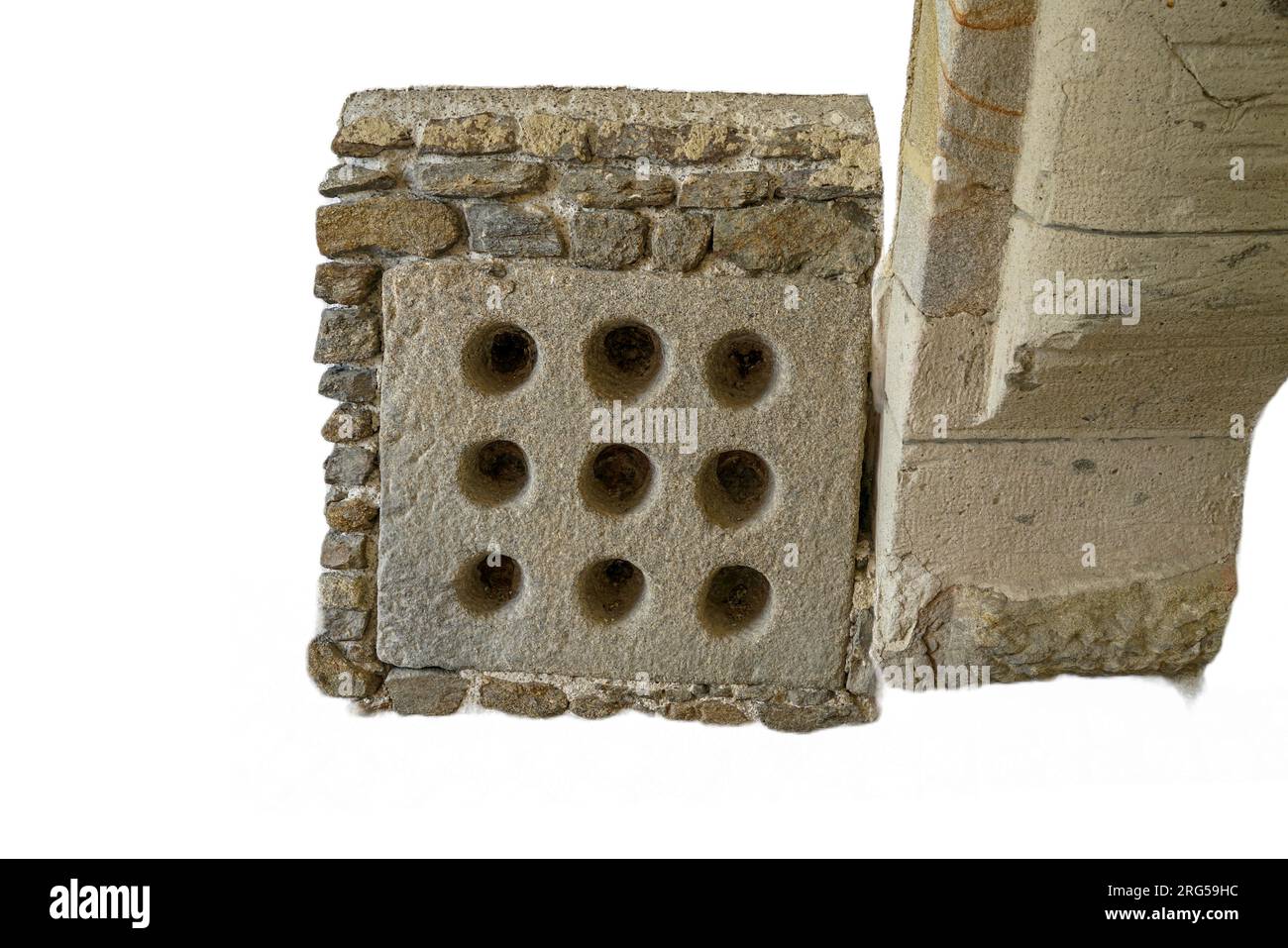 freigestellt vor weißem hintergrund Foto Stock