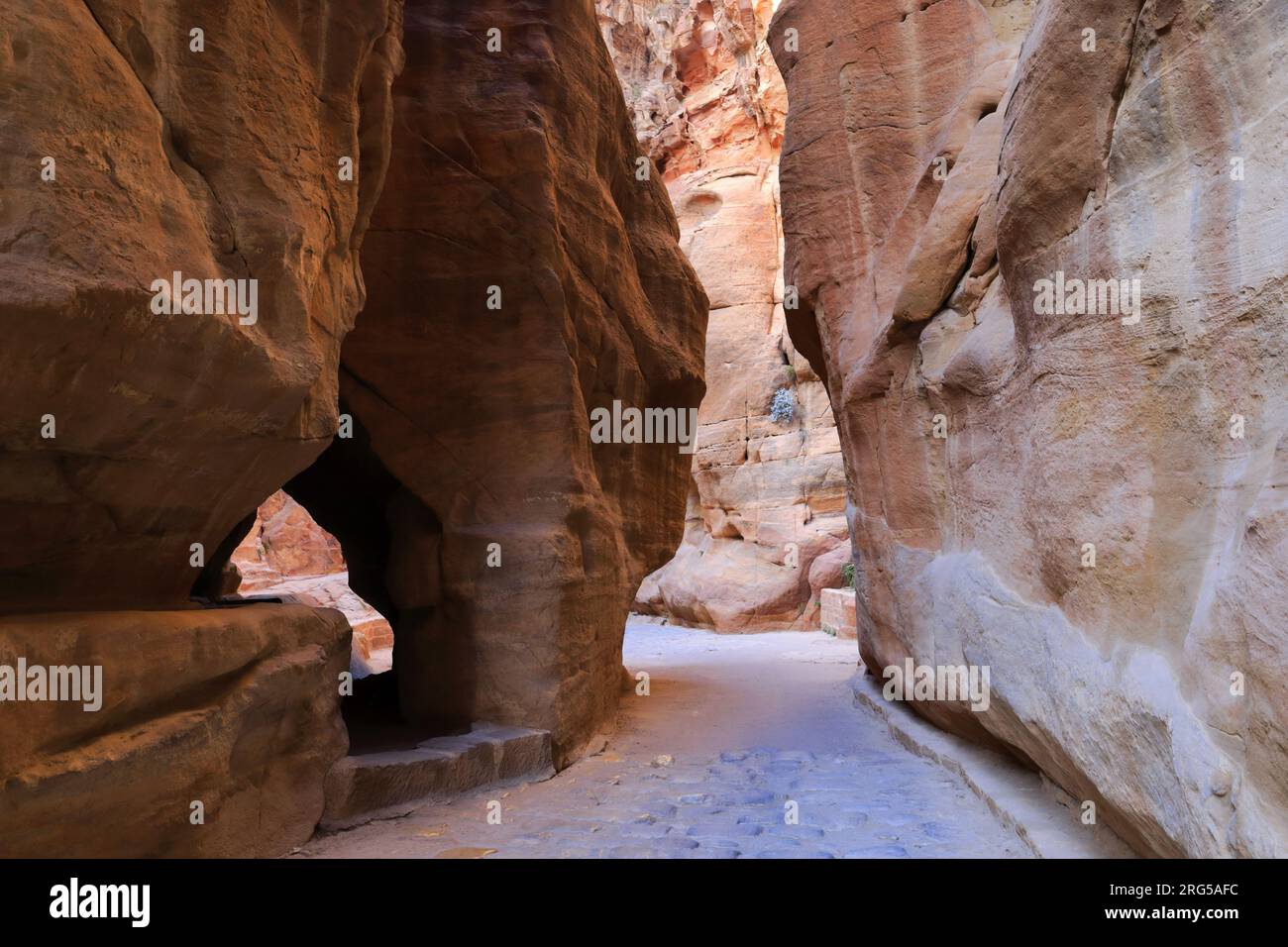 Al-Siq, l'ingresso principale del Canyon a Petra, Giordania, Medio Oriente Foto Stock