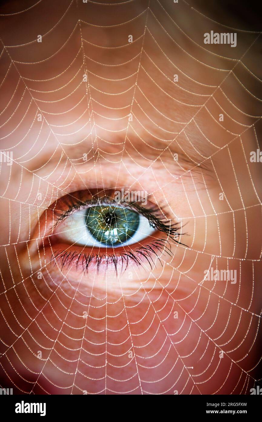 occhio di donna dietro una ragnatela Foto Stock