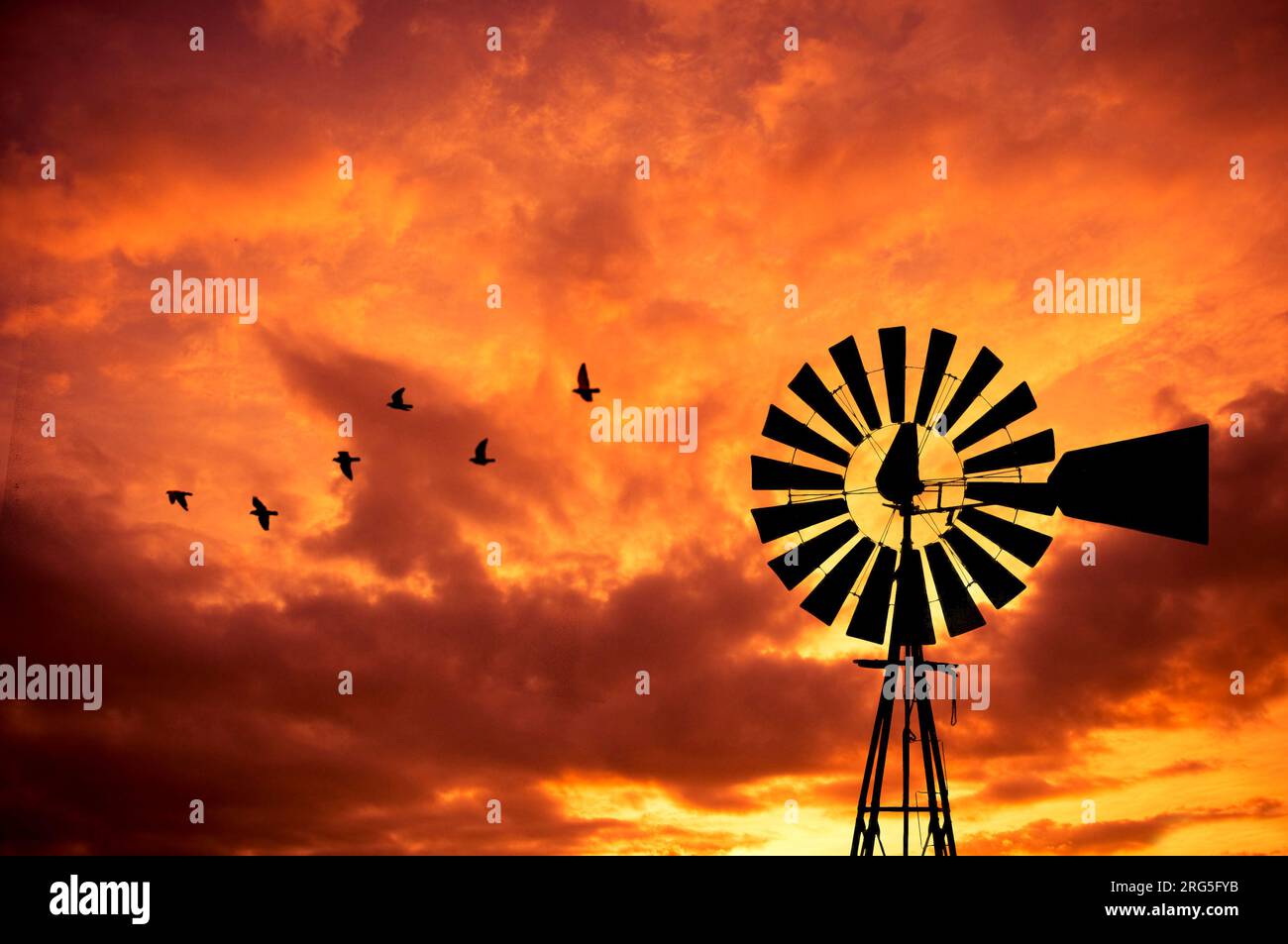 mulino a vento e uccelli che volano Foto Stock