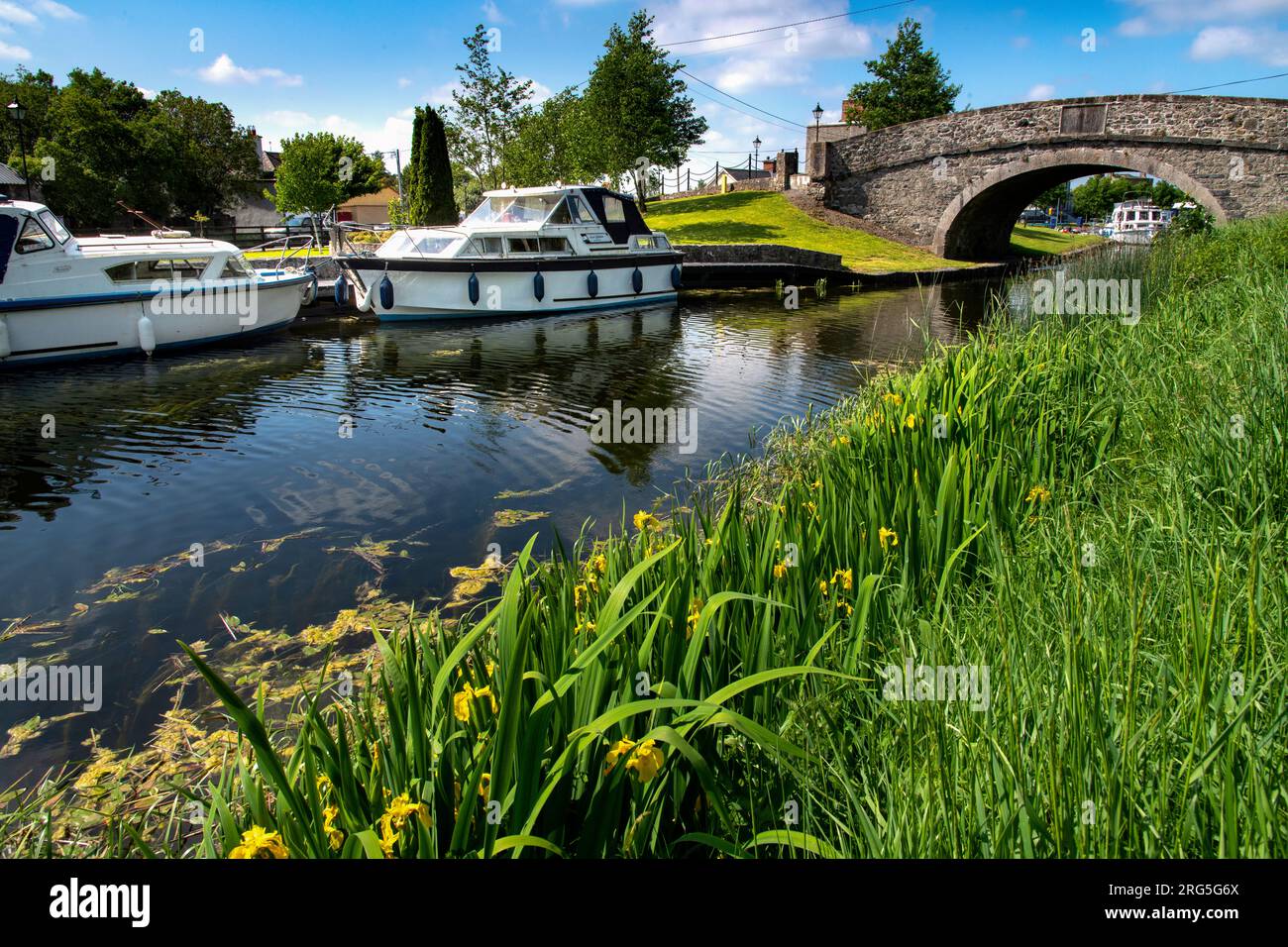 Shannon Harbour, Clonony, Grand Canal, County Offaly, Irlanda Foto Stock