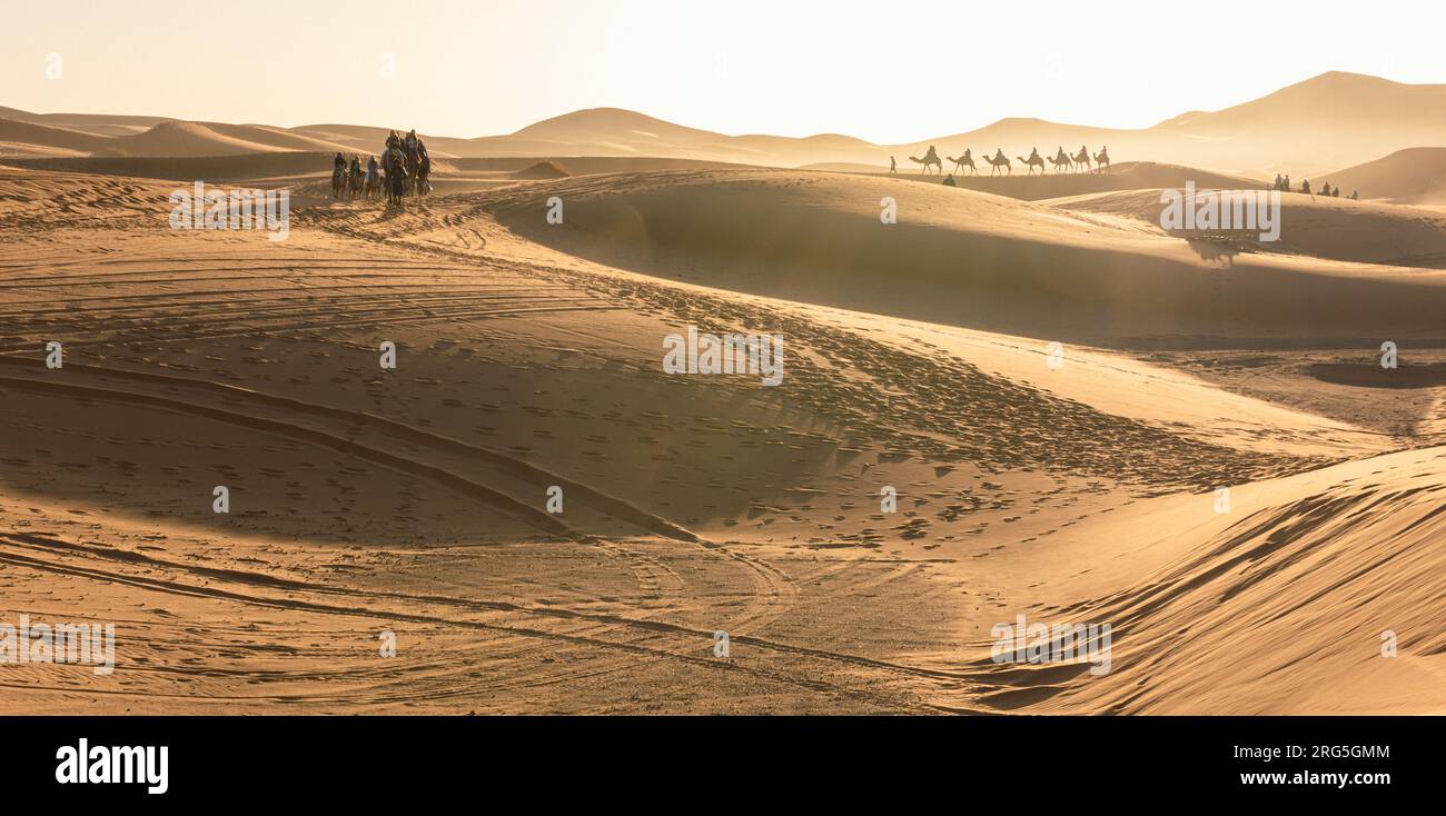 Il paesaggio del deserto Foto Stock
