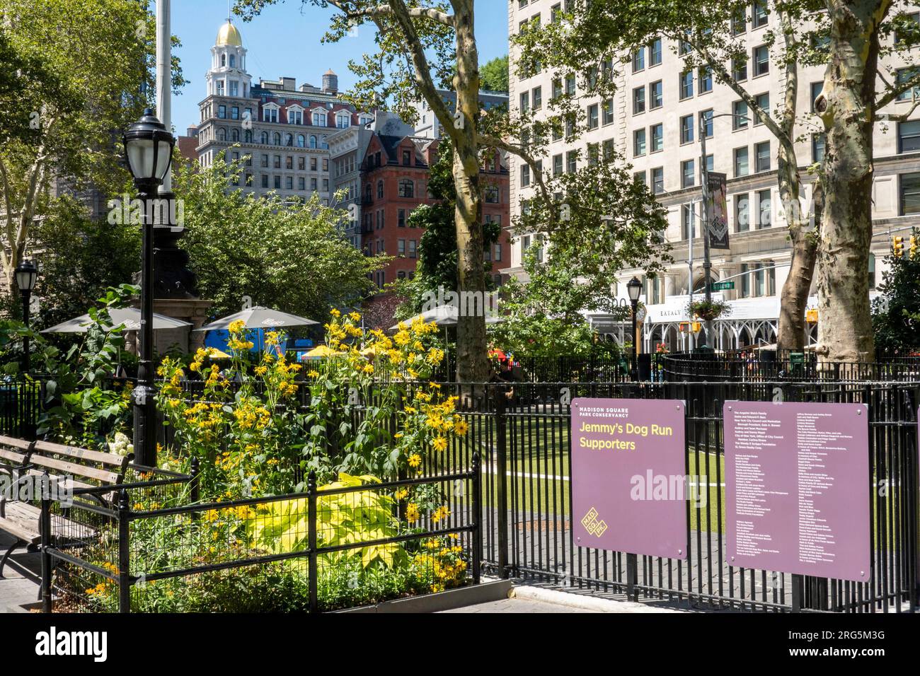 Jemmys Dog Run è un grande parco giochi per cani situato a Madison Square Park, New York City, 2023, Stati Uniti Foto Stock
