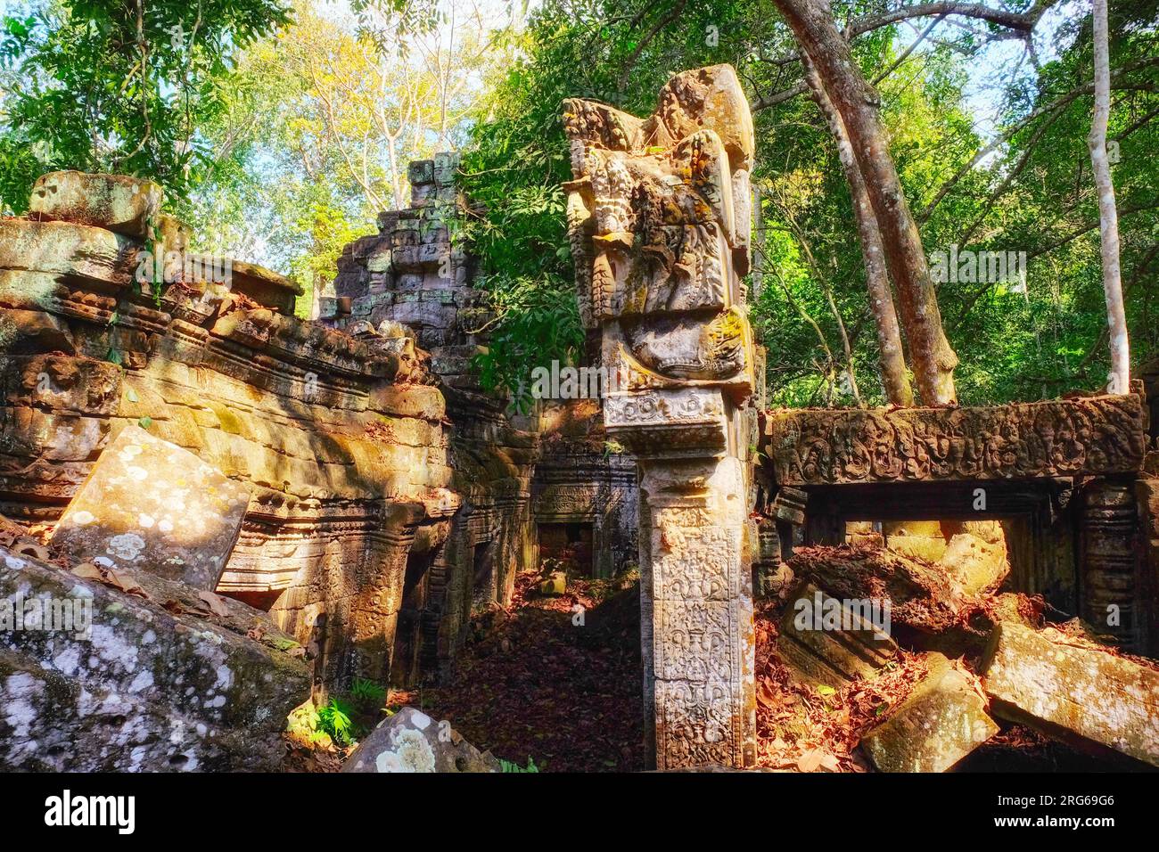 I segreti della giungla: La foresta cambogiana rivela antiche rovine della civiltà Khmer, dando forma a un paesaggio accattivante. Foto Stock