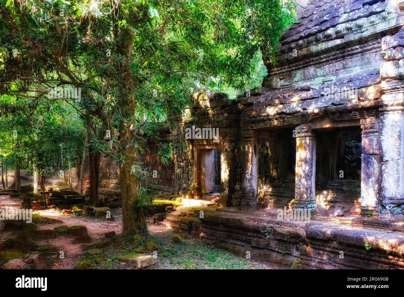 Antichi templi cambogiani nascosti in foreste lussureggianti. Foto Stock