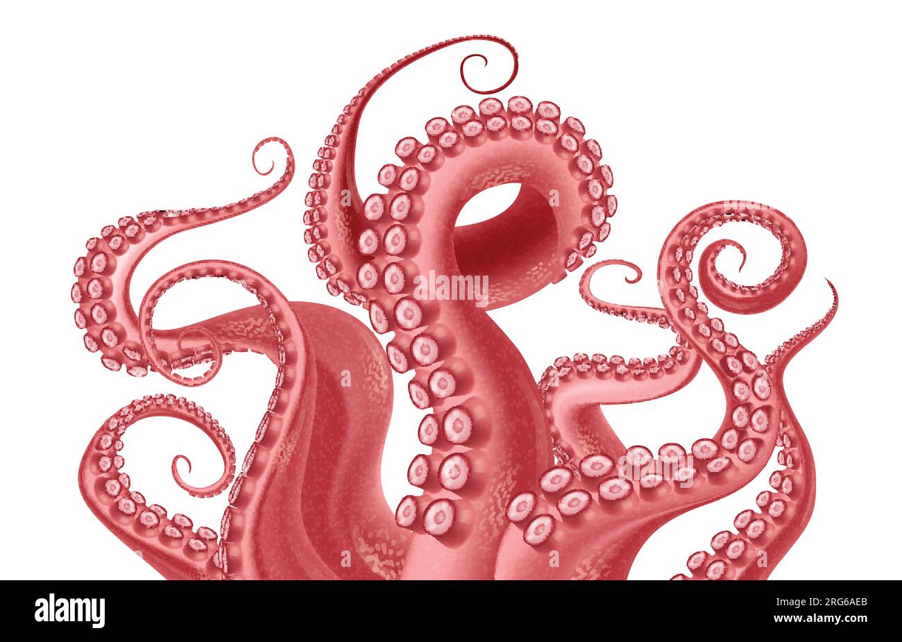 Frammento astratto di polpo rosso con tentacoli ondulanti con ventose su sfondo bianco illustrazione vettoriale realistica Illustrazione Vettoriale