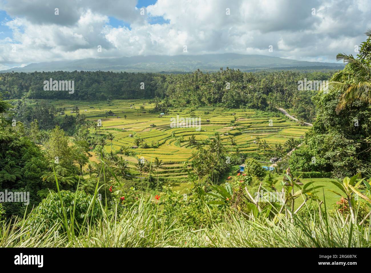 Vista da Rendang sulle risaie, Karangasem, Kabupaten Karangasem, Bali Foto Stock