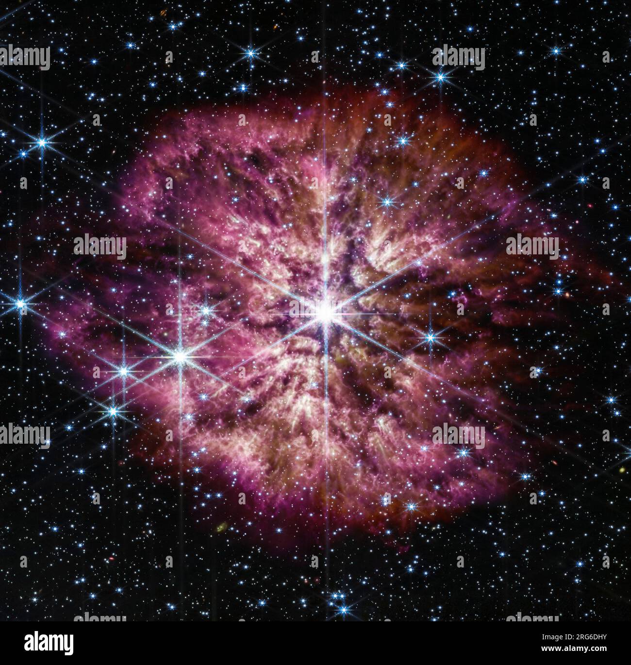 La stella luminosa e calda Wolf-Rayet 124 circondata da una nebulosa di materiale espulso nota come M1-67. Foto Stock