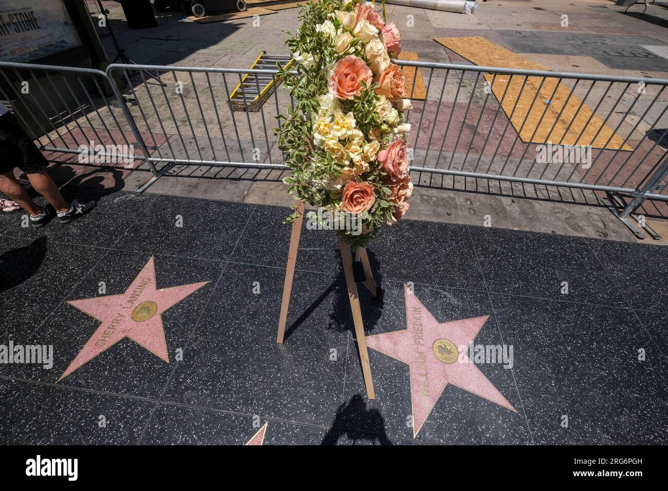 Los Angeles, Stati Uniti. 7 agosto 2023. Una corona è collocata alla stella di William Friedkin sulla Hollywood Walk of Fame, accanto alla stella di sua moglie, l'ex produttore e capo dello studio Sherry Lansing a Los Angeles. Il regista William Friedkin, che ha lasciato il segno su Hollywood negli anni '1970 con il suo premio Oscar "The French Connection" e il film horror soprannaturale "The Exorcist", è morto oggi a Los Angeles all'età di 87 anni. Credito: SOPA Images Limited/Alamy Live News Foto Stock