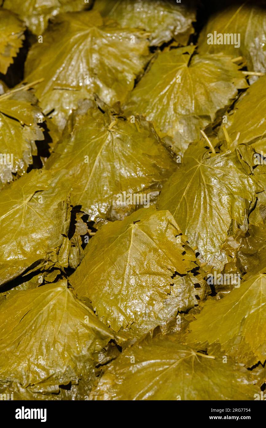 Istanbul, Turchia, Türkiye. Venditori Uskudar: Foglie d'uva. Foto Stock