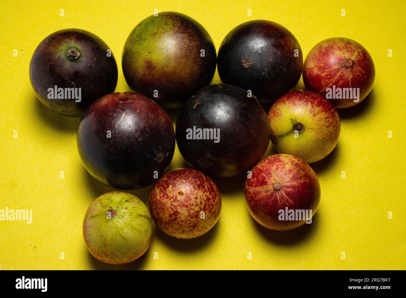 Camu camu è il frutto che contiene la più alta concentrazione di vitamina C, è un super frutto amazzonico Foto Stock