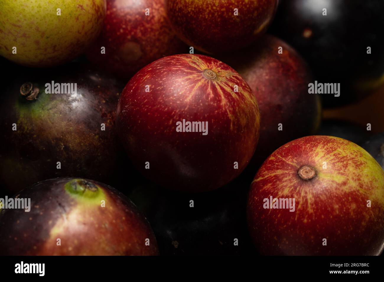 Camu camu è il frutto che contiene la più alta concentrazione di vitamina C, è un super frutto amazzonico Foto Stock