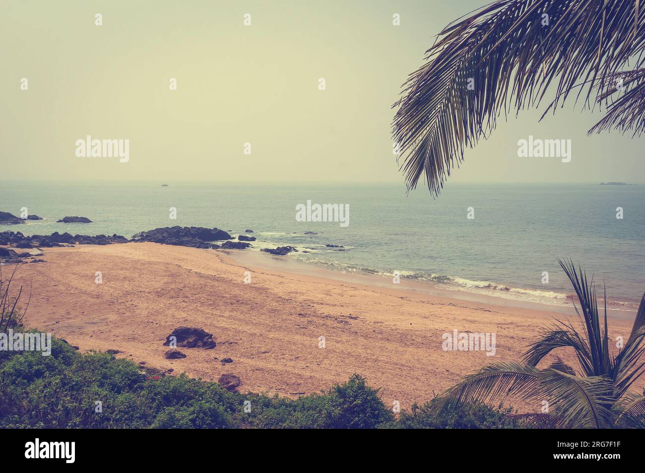 Palma e la spiaggia con la pietra sul mare sullo sfondo. Paradise beach Gokarna India. Foto Stock