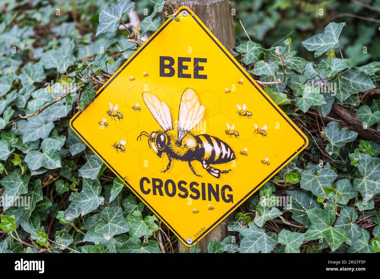 Bochum, Germania - 10 maggio 2022: Insegna divertente e colorata di giallo e nero Bee Crossing nel palco della recinzione nello zoo di Bochum, Renania settentrionale-Vestfalia, Foto Stock