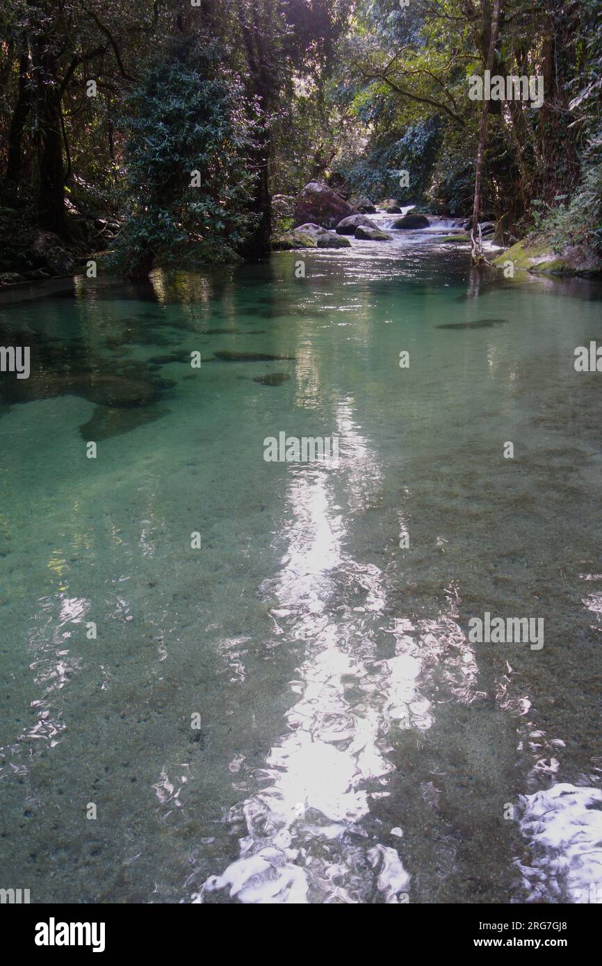 Ruscelli cristallini attraverso la foresta pluviale del Parco Nazionale di Wooroonooran, il Monte Bartle Frere, Wet Tropics, Queensland, Australia Foto Stock