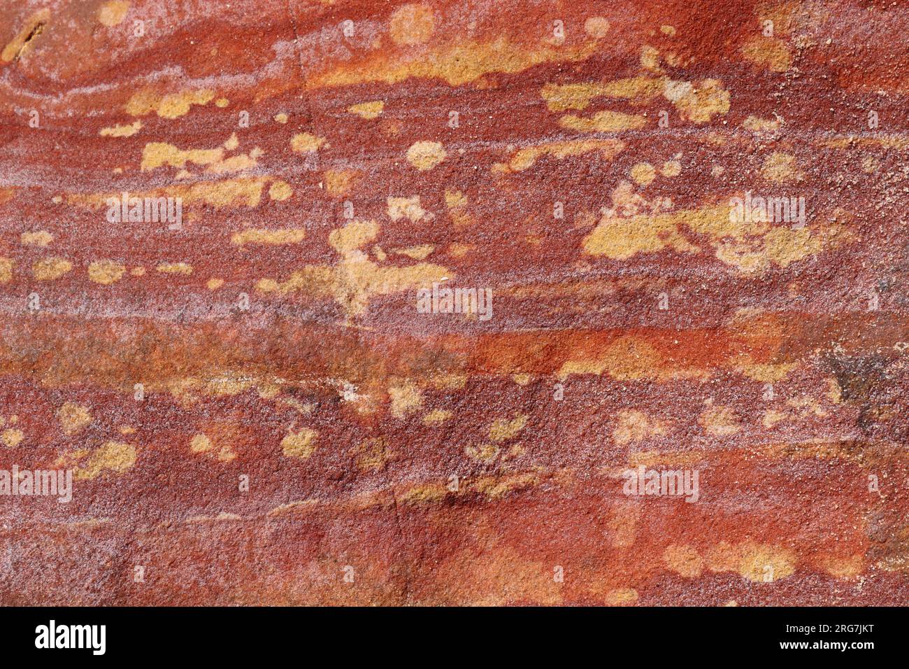 Reticolo della roccia Foto Stock