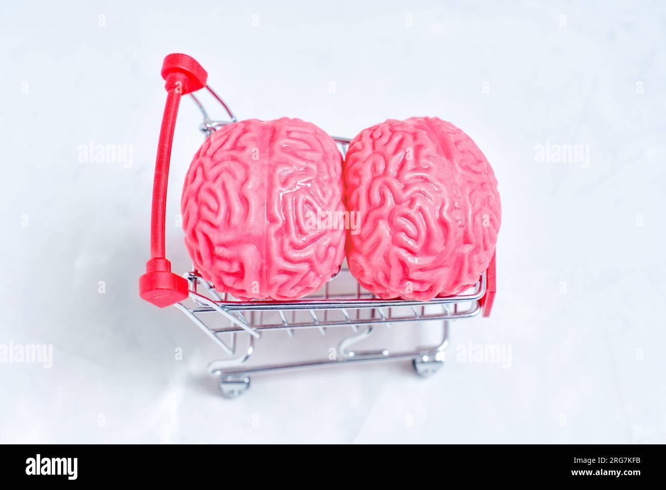 Vista dall'alto di due modelli di cervello umano simili a una gelatina rosa collocati in un piccolo carrello in acciaio isolato su uno sfondo di cemento. Il concetto di acquisizione Foto Stock