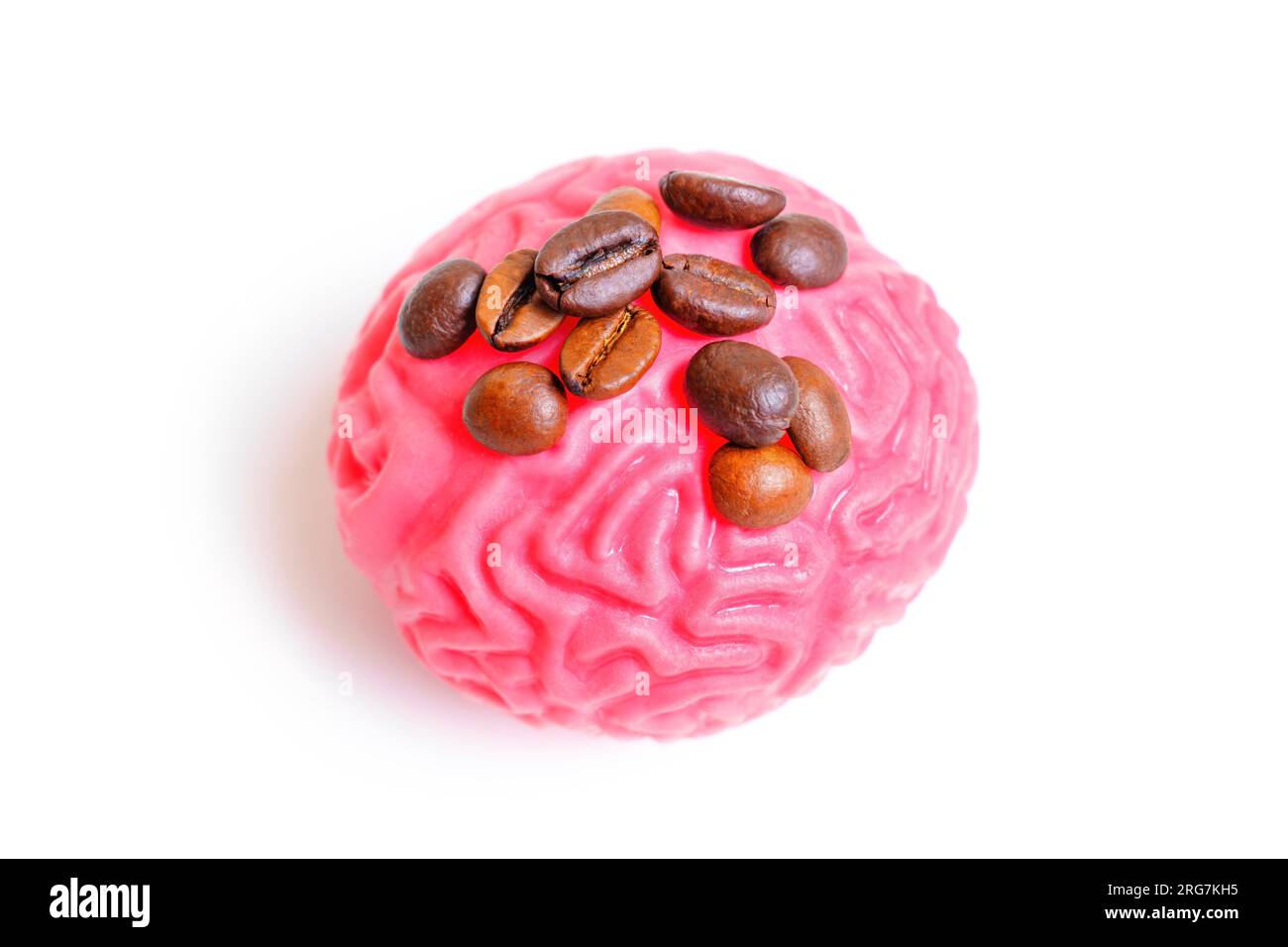 I chicchi di caffè riposano su un modello del cervello umano, simboleggiando gli effetti stimolanti della caffeina sulla funzione cognitiva. Foto Stock