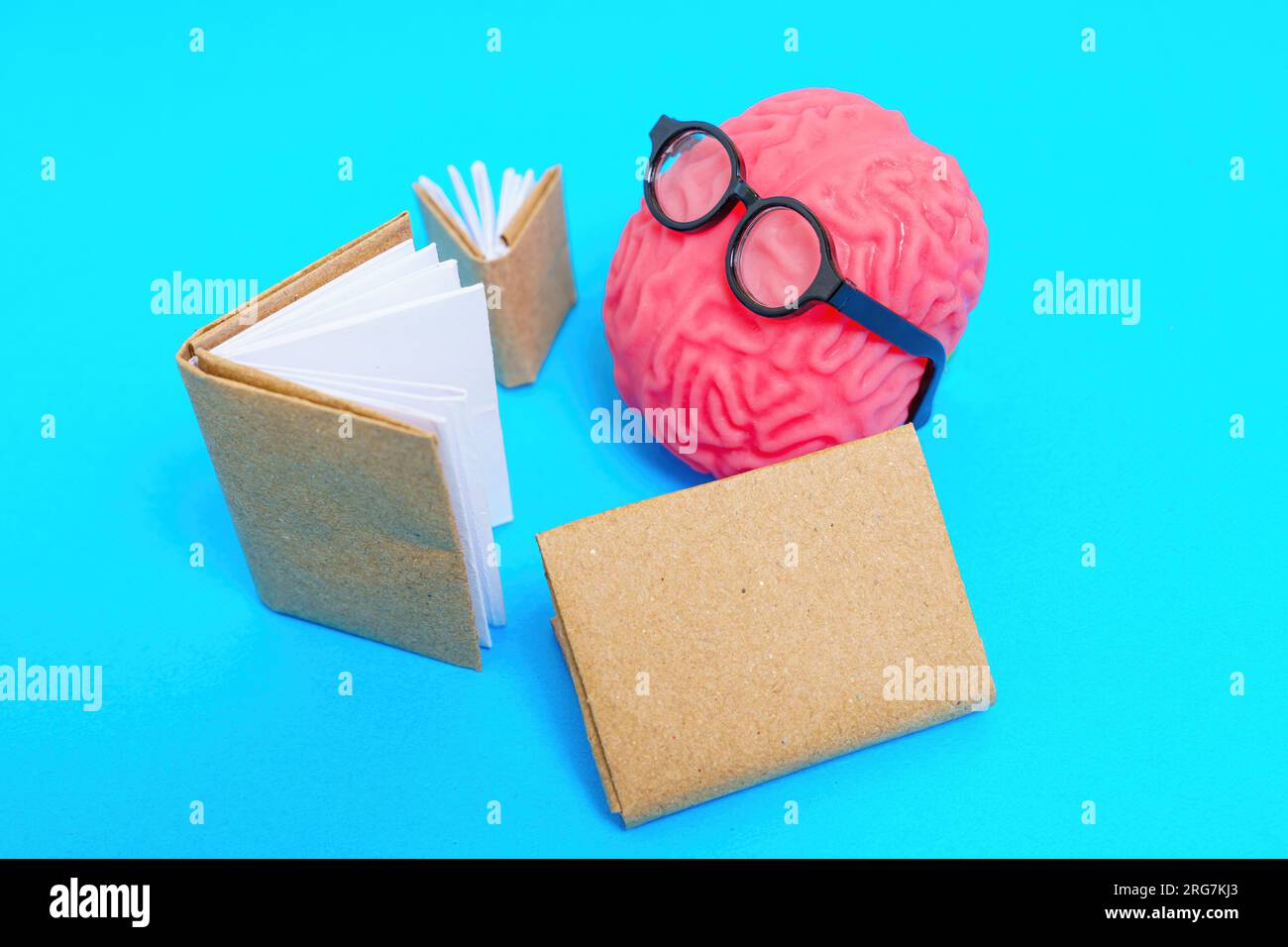 Modello di cervello umano adornato con occhiali nerd che leggono libri isolati su sfondo blu. Foto Stock