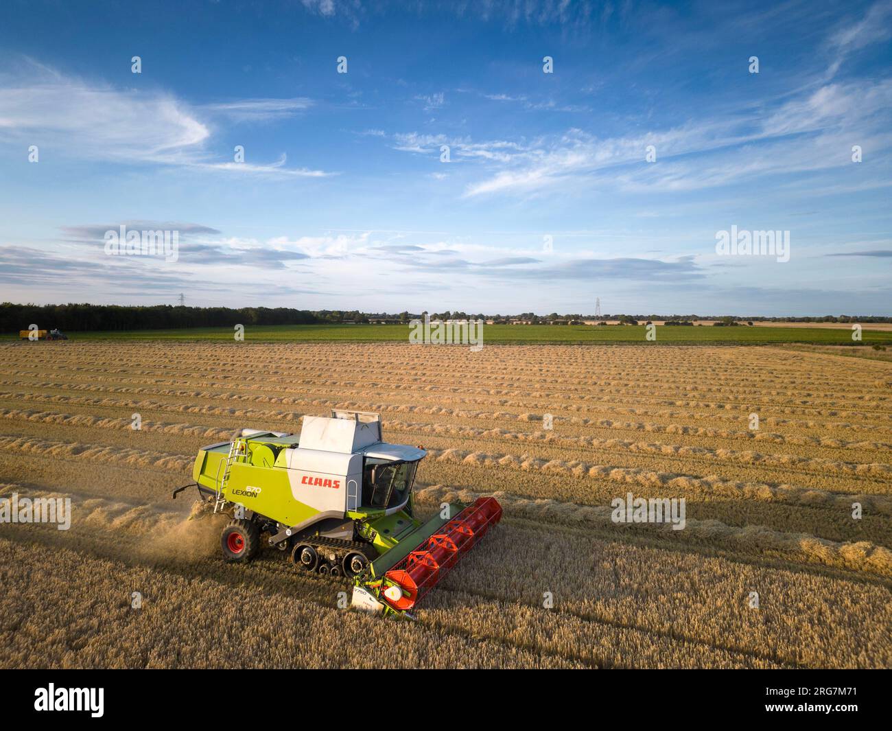Langtoft, Lincolnshire, Regno Unito. 7 agosto 2023 Regno Unito Meteo. Gli agricoltori sfruttano al massimo una pausa durante il tempo e raccolgono orzo al sole serale nel Lincolnshire foto: Tim Scrivener/Alamy Live News Foto Stock