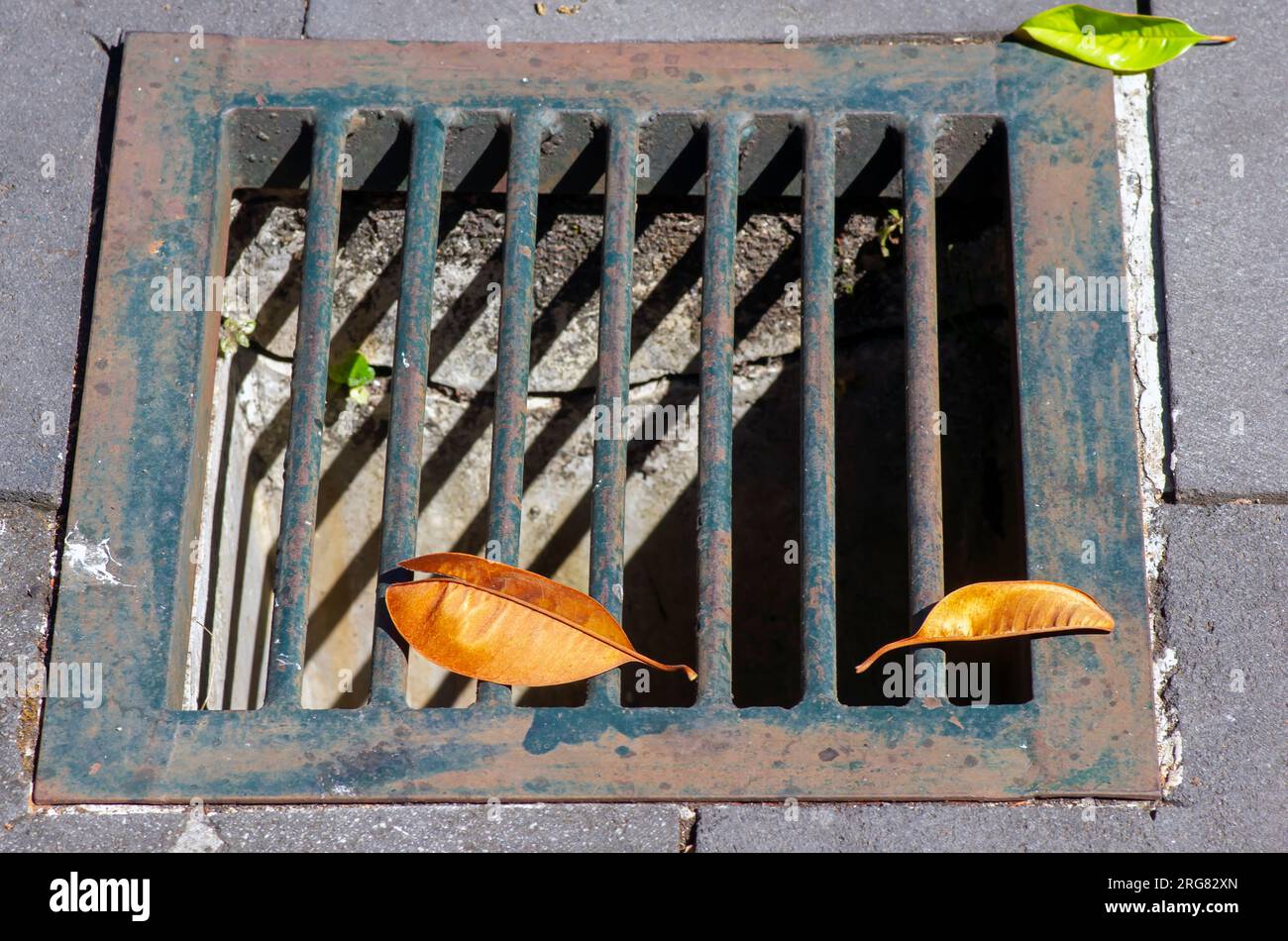 Un coperchio di scarico in ghisa, per evitare inondazioni durante la stagione delle piogge. Foto Stock