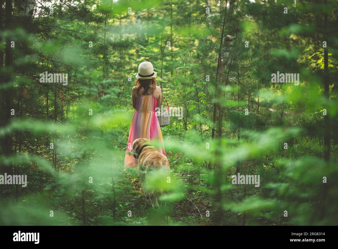 bella ragazza con bastone e cesto nella foresta in cerca di funghi Foto Stock