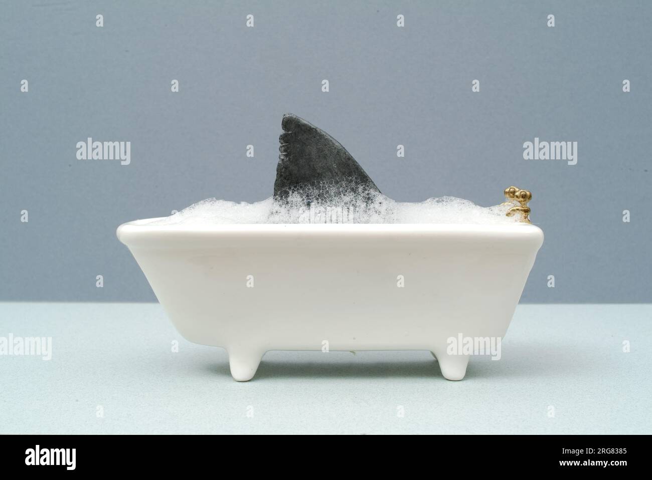 immagine divertente, allarmante e snervante di uno squalo che fa il bagno in un bagno giocattolo pieno di bolle. bagno in miniatura e pinna di squalo. Foto Stock