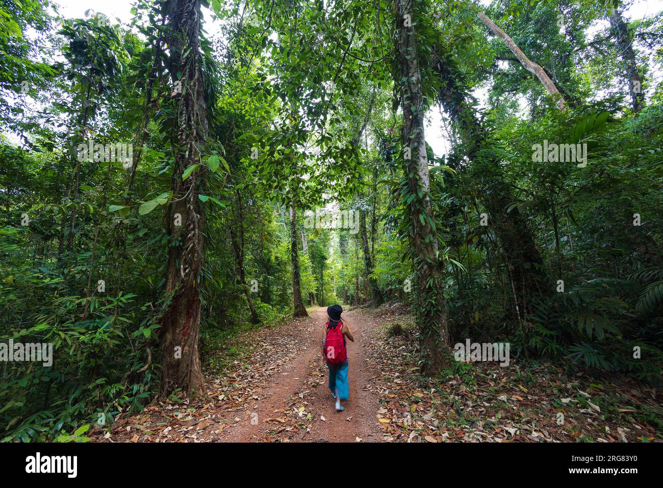 Donna che fa trekking da sola nella giungla di Koh Kood, Thailandia Foto Stock
