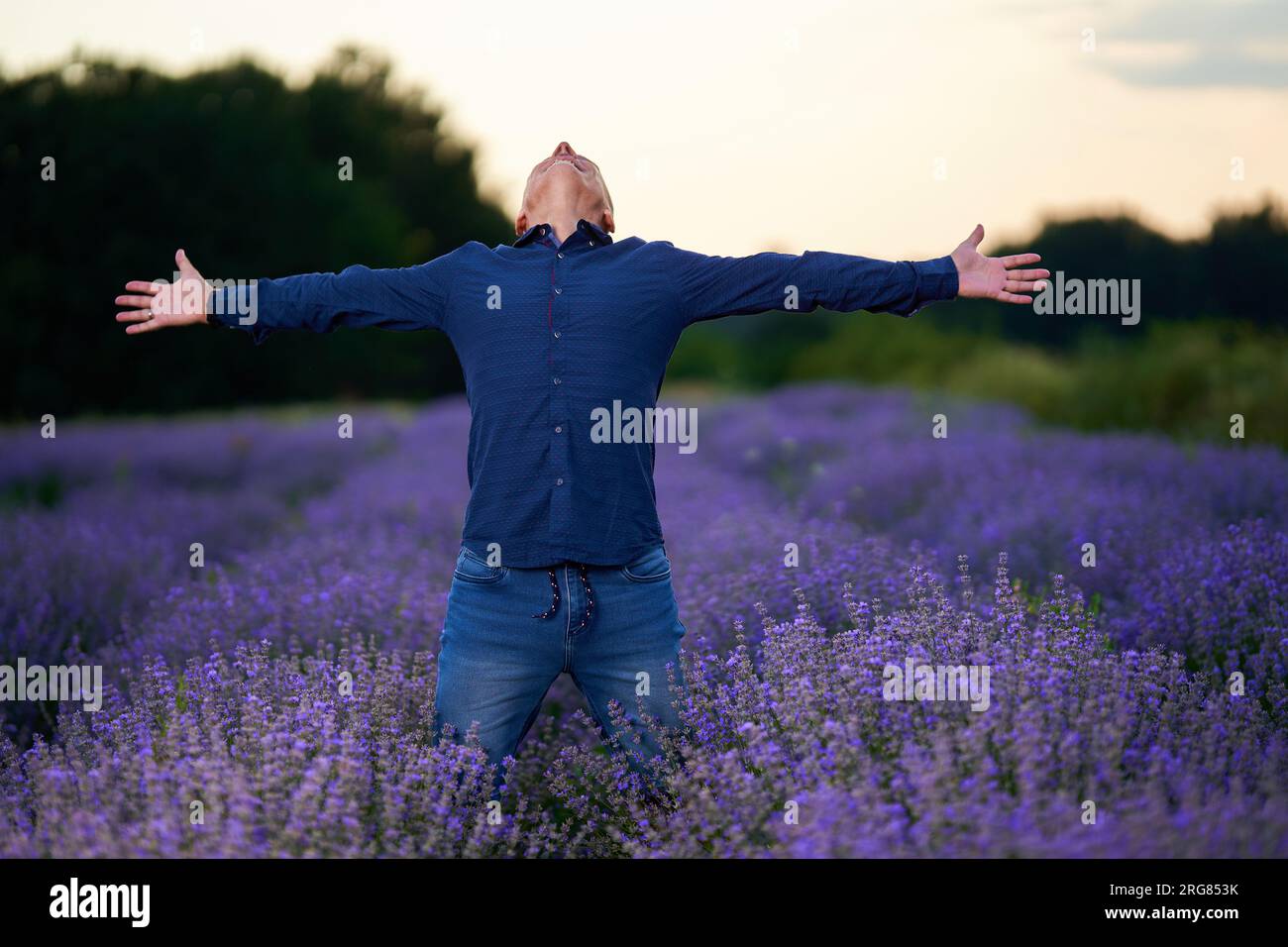 Uomo maturo in un campo di lavanda al tramonto, illuminazione professionale Foto Stock