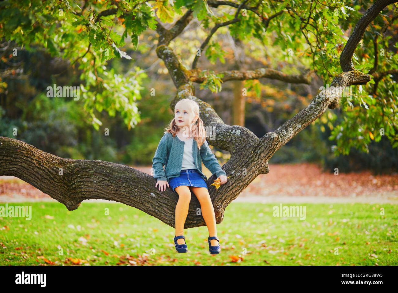 Simpatica bambina in età prescolare seduta su un ramo di un albero nel parco o nella foresta. Bambini che esplorano la natura. Attività estive o autunnali all'aperto per i bambini Foto Stock