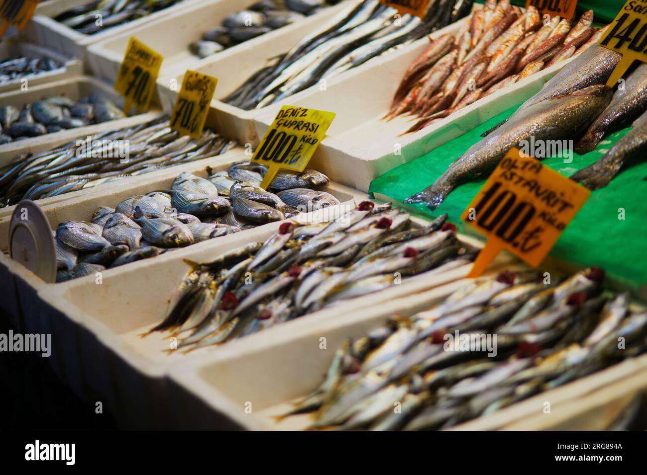 Pesce fresco del giorno in vendita su un mercato del pesce nel distretto di Uskudar, lato asiatico di Istanbul, Turchia Foto Stock