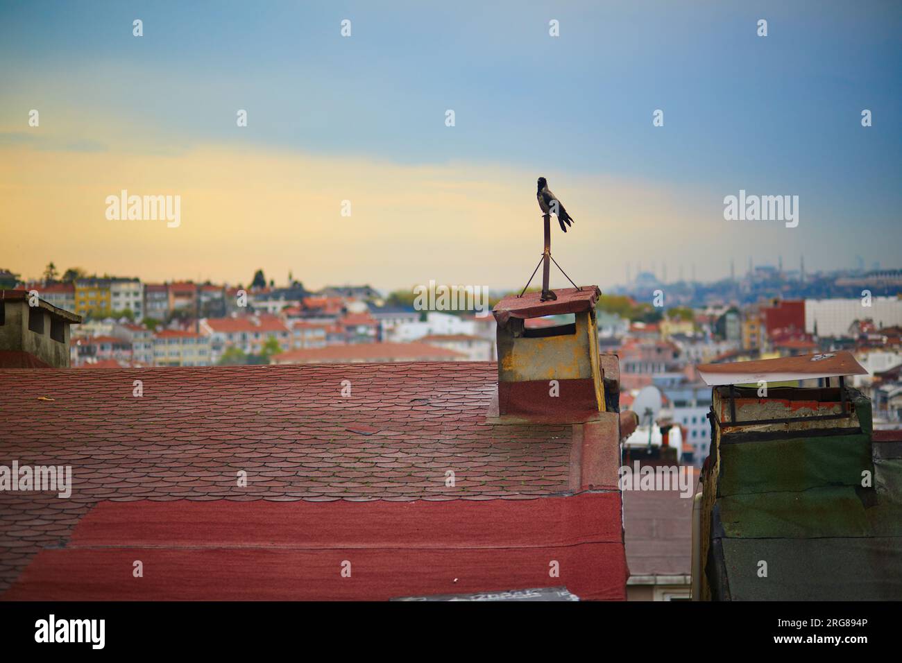 Vista panoramica dei tetti nel quartiere di Uskudar sul lato asiatico di Istanbul, Turchia Foto Stock