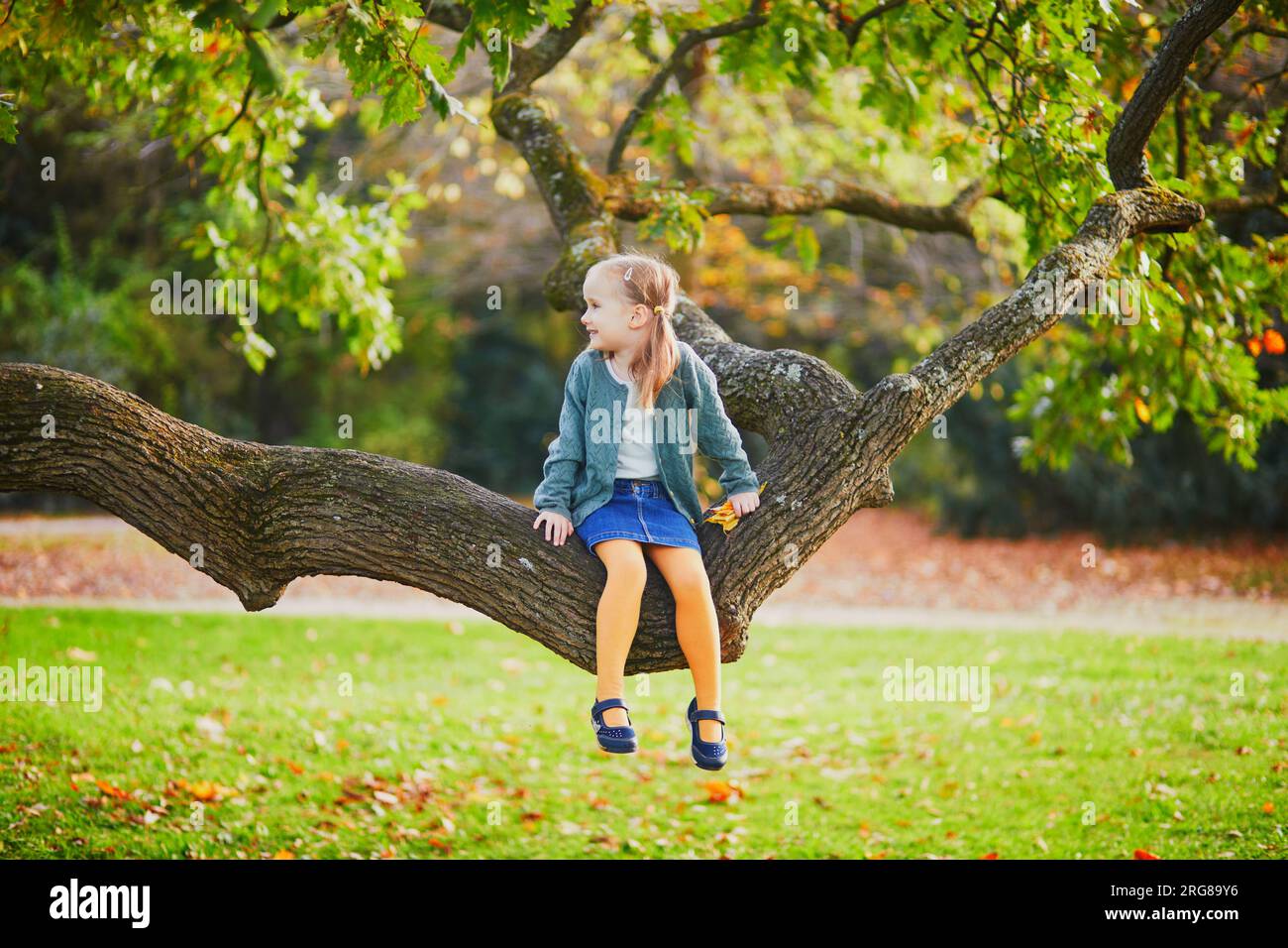 Simpatica bambina in età prescolare seduta su un ramo di un albero nel parco o nella foresta. Bambini che esplorano la natura. Attività estive o autunnali all'aperto per i bambini Foto Stock