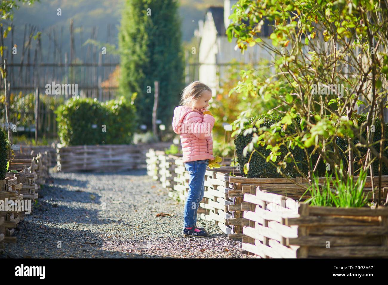 Bambina in età prescolare che guarda come le verdure crescono nell'orto. Bambini che esplorano la natura Foto Stock