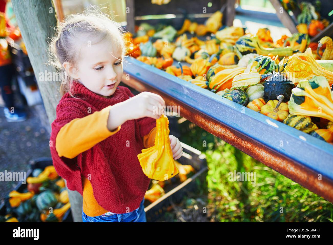 Adorabile bambina in età prescolare che seleziona varie zucche decorative al mercato agricolo per Halloween. Bambini che esplorano la natura. Attività autunnali per sma Foto Stock