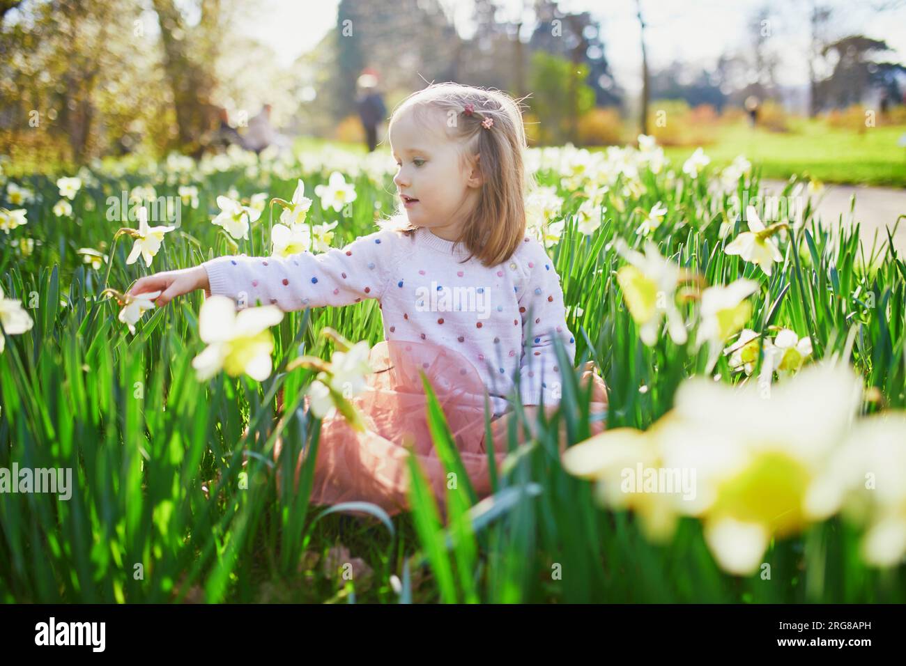 Bambina prescolare seduta sull'erba con narcissi gialli. Bambino che guarda i fiori in una giornata primaverile nel parco. Adorabile bambino che esplora la natura Foto Stock