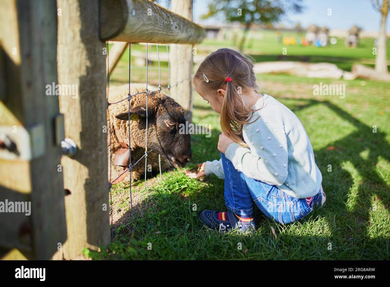 Adorabile bambina che gioca con le pecore alla fattoria. Bambino che si familiarizza con gli animali. Agricoltura e giardinaggio per bambini piccoli. Attività all'aperto Foto Stock