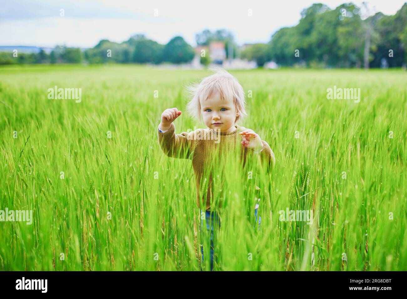 Adorabile bambina che cammina su un campo di grano verde. Bambini piccoli che si divertono all'aperto. Ragazzo che esplora la natura Foto Stock