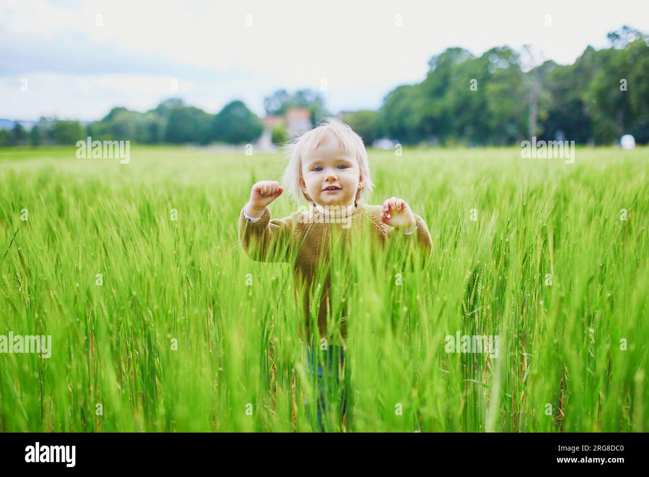 Adorabile bambina che cammina su un campo di grano. Bambini piccoli che si divertono all'aperto. Ragazzo che esplora la natura Foto Stock
