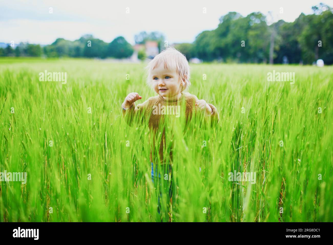 Adorabile bambina che cammina su un campo di grano. Bambini piccoli che si divertono all'aperto. Ragazzo che esplora la natura Foto Stock
