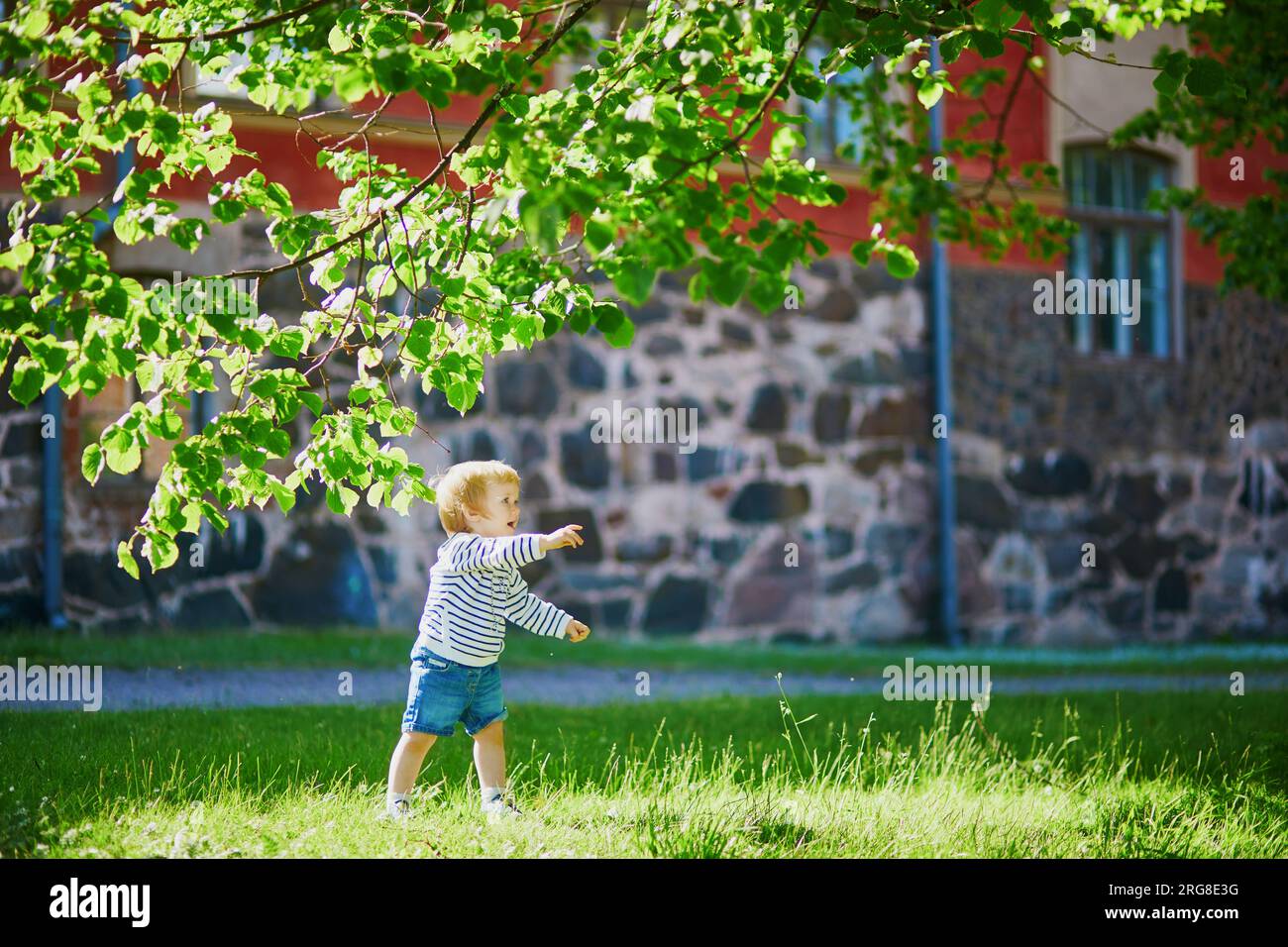 Adorabile bambina sotto l'albero in un giorno d'estate. Bambini piccoli che si divertono all'aperto. Ragazzo che esplora la natura Foto Stock