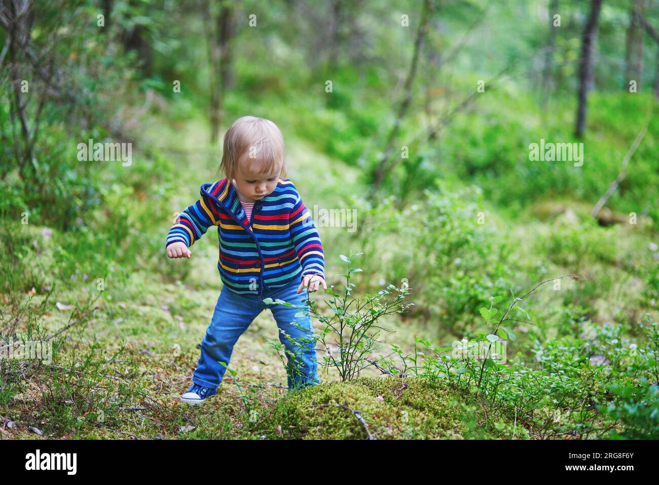 Adorabile bambina che cammina nella foresta. Bambini piccoli che si divertono all'aperto. Ragazzo che esplora la natura Foto Stock