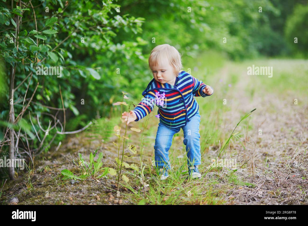 Adorabile bambina nella foresta, che guarda il fiore della campana. Bambini piccoli che si divertono all'aperto. Ragazzo che esplora la natura Foto Stock