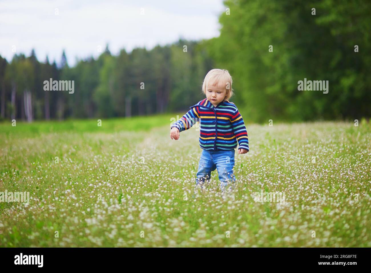 Adorabile bambina che cammina su un campo verde vicino alla foresta. Bambini piccoli che si divertono all'aperto. Ragazzo che esplora la natura Foto Stock