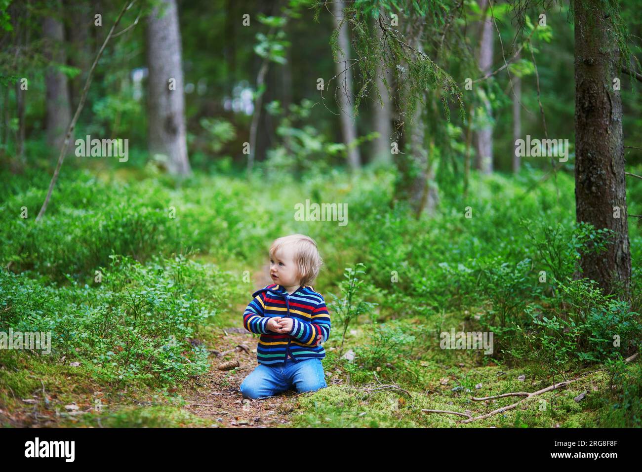 Adorabile bambina nella foresta, seduto a terra e giocando con i coni di pino. Bambini piccoli che si divertono all'aperto. Ragazzo che esplora la natura Foto Stock