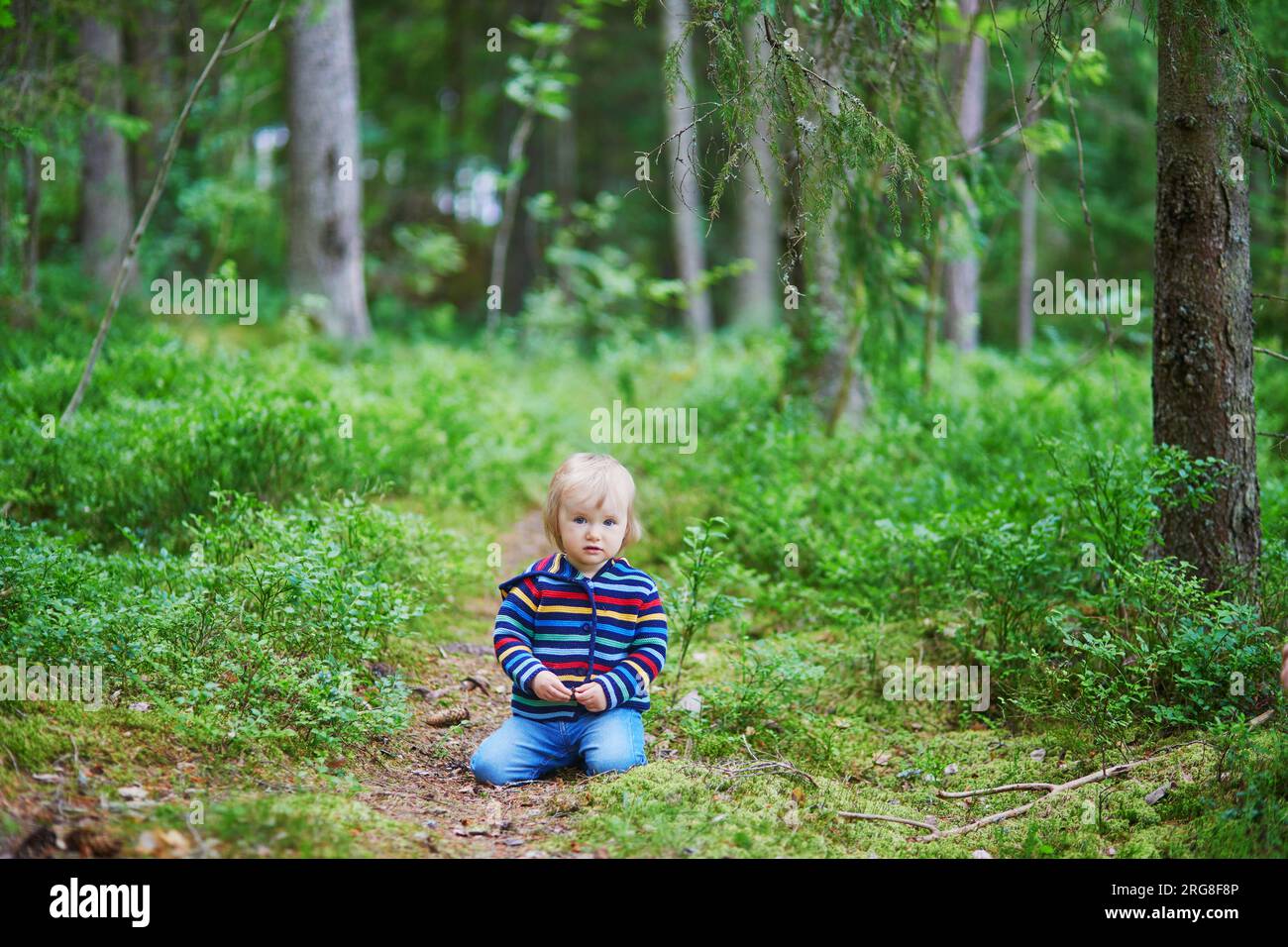 Adorabile bambina nella foresta, seduto a terra e giocando con i coni di pino. Bambini piccoli che si divertono all'aperto. Ragazzo che esplora la natura Foto Stock